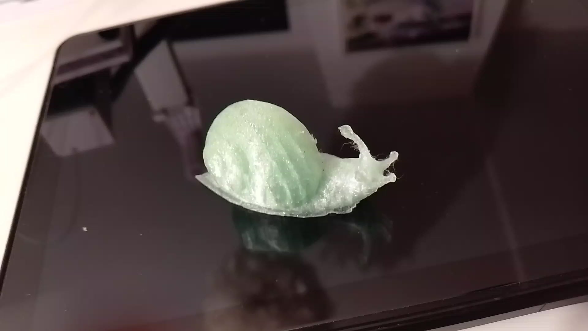 Escargot "Camouflage"